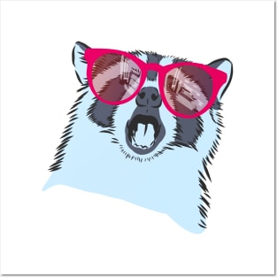 raccoon with rainbow glasses Posters and Art